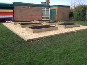 Raised beds